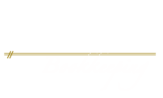 T Rex Bookkeeping